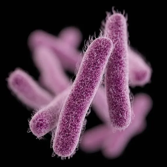 thumbnail for publication: Preventing Foodborne Illness: Shigellosis